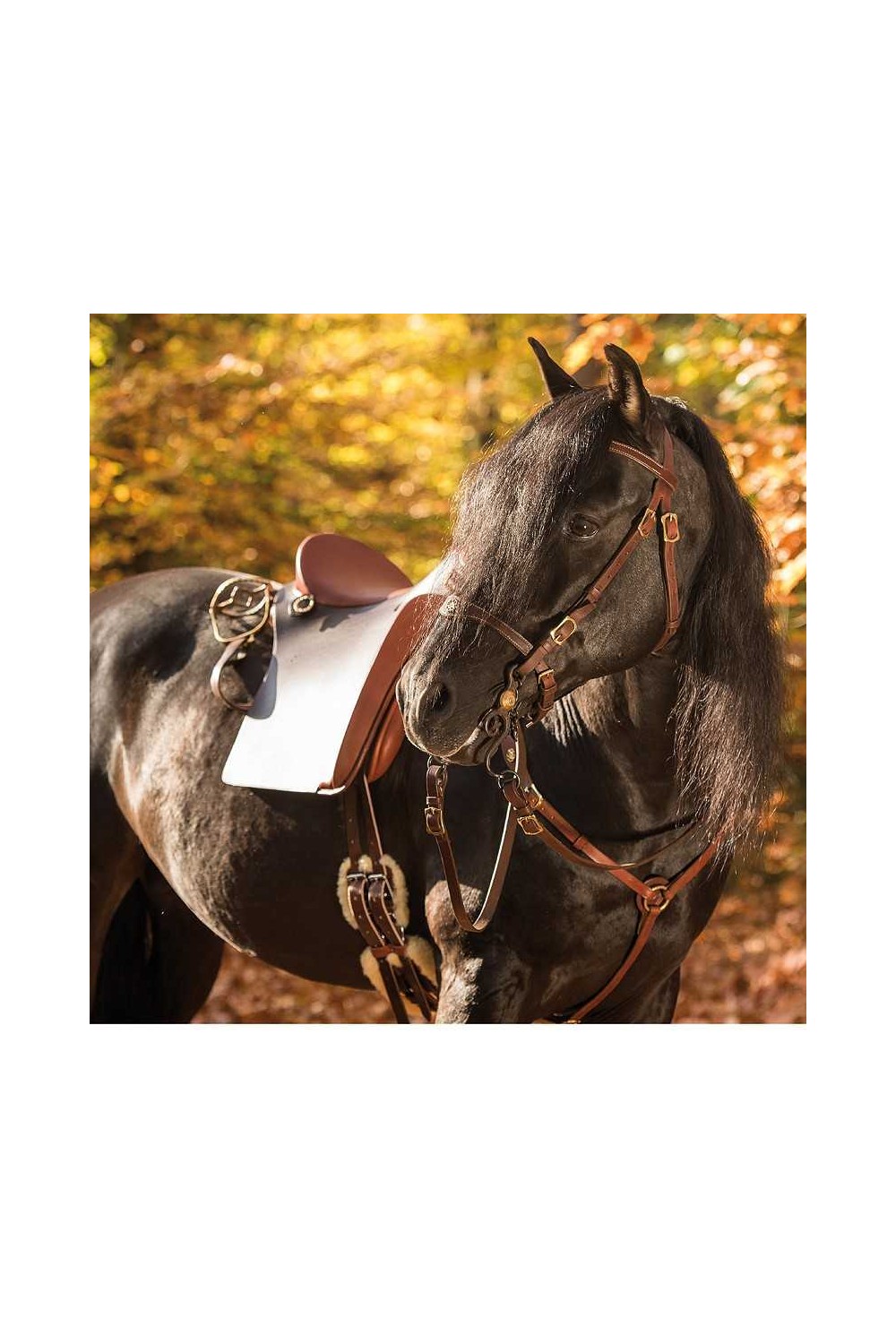 SILLA MARJOMAN RELVAS LUSITANIA