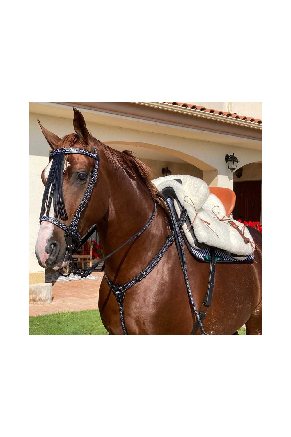 SILLA MARJOMAN VAQUERA DE FIBRA MIXTA COMPLETA