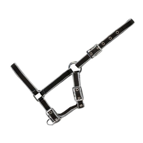 Cabezada de potro USG