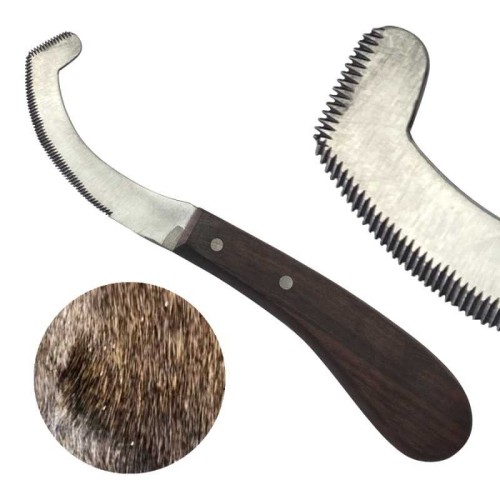 Legra para retirar huevos de insecto