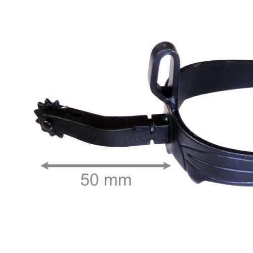 Espuela vaquera pavonada gallo vuelto de acosar econÃ³mica ruleta inglesa