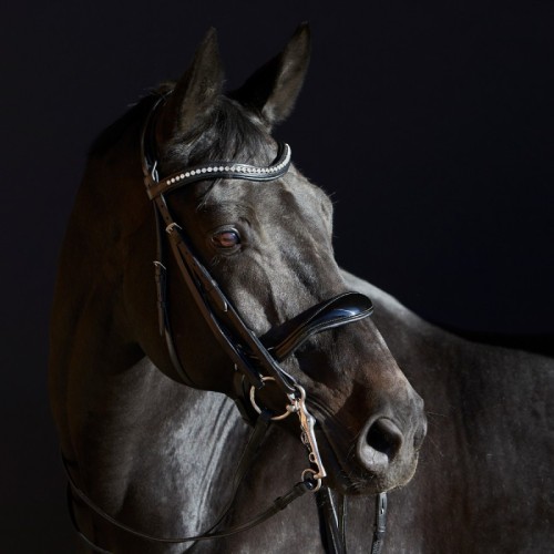 Cabezada de doble rienda Kieffer Ultrasoft Amy
