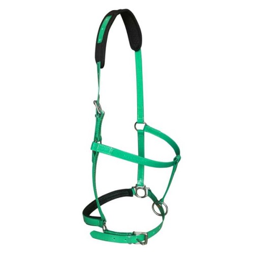 Cabezada de cuadra de biotane