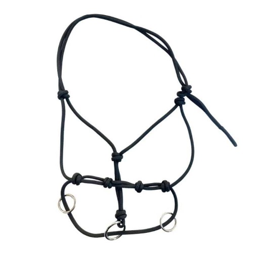 Cabezada de entrenamiento