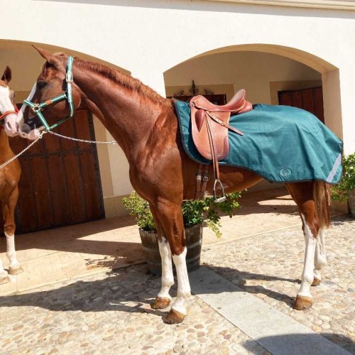 Manta riÃ±onera impermeable con forro polar