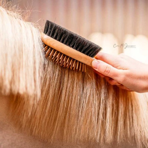 Cepillo doble cola y crines B&E KÃ¤mmLotte