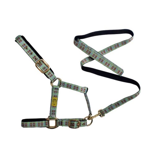 CABEZADA + RAMAL TARTÃN PONY