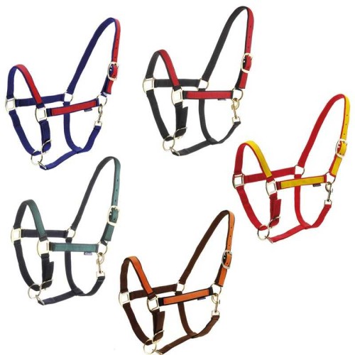 Cabezada DaslÃ¶ Roma en nylon doble