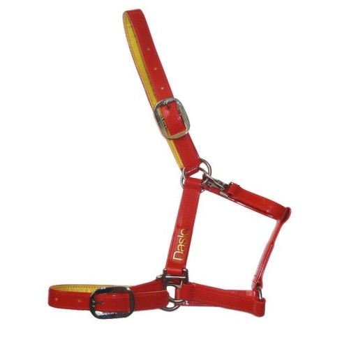 Cabezada DaslÃ¶ en PVP para pony