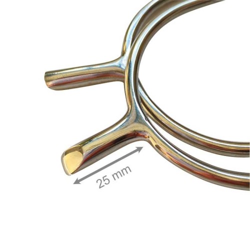 EspuelÃ­n portuguÃ©s gallo recto contacto