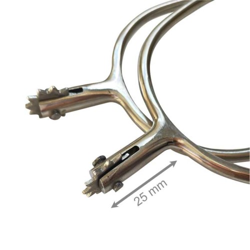 EspuelÃ­n portuguÃ©s gallo recto estrella