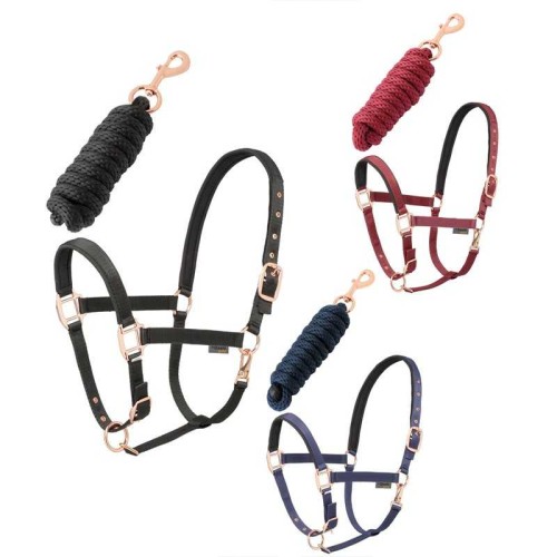 Conjunto cabezada + ramal DaslÃ¶ Gold