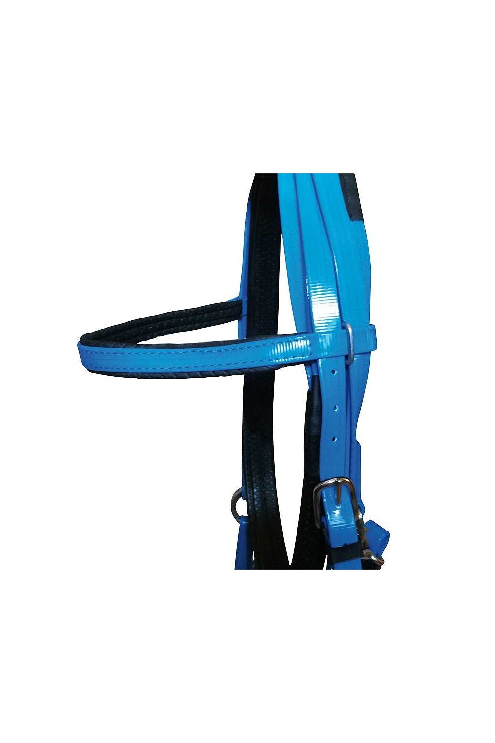 CABEZADA DE ENDURANCE