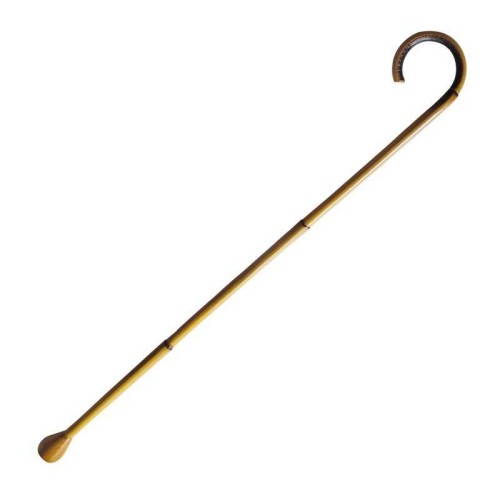 BASTÃ“N DE JUNCO CON PORRA POSTIZA