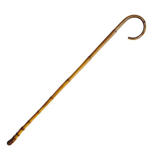 BASTÃ“N DE JUNCO CON PORRA NATURAL FINO