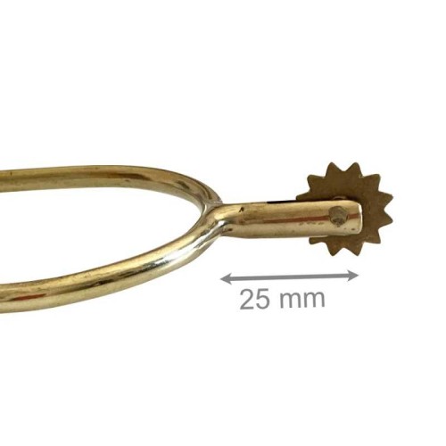 ESPUELÃN PORTUGUÃ‰S DORADO GALLO CORTO CON ESTRELLA