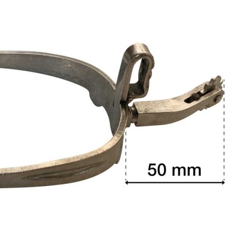 ESPUELA VAQUERA INOX GALLO VUELTO RULETA INGLESA