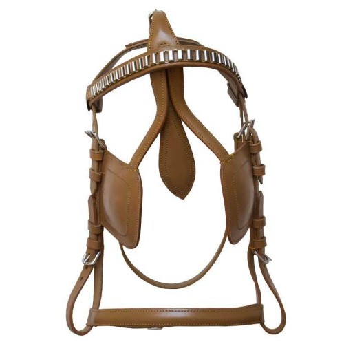 BRIDÃ“N DE ENGANCHE ECONÃ“MICO