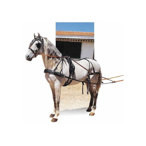 ENGANCHE CON PECHOPETRAL PARA UN CABALLO HEBILLAJE INOX