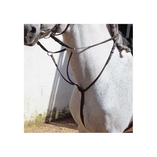 TIJERILLA ECONÃ“MICA