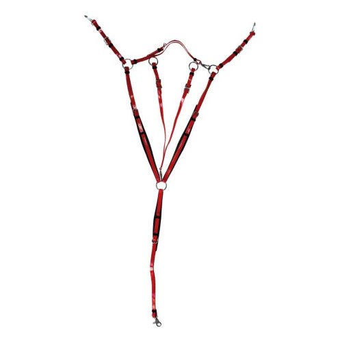 PECHOPETRAL DE ENDURANCE