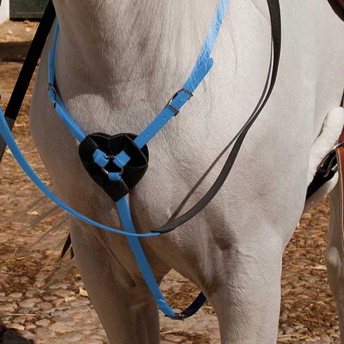 PECHOPETRAL MARJOMAN DE BIOTANE PARA RAID