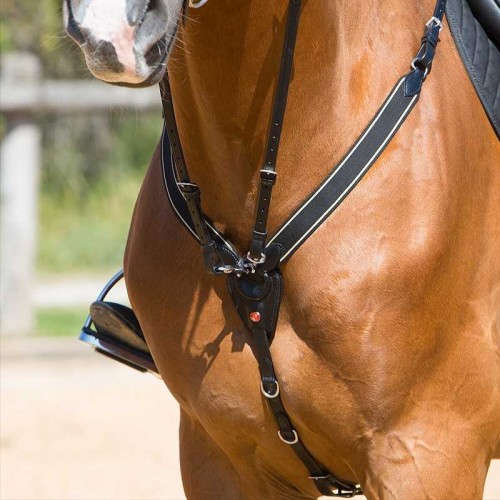 PECHOPETRAL KIEFFER ARLENE