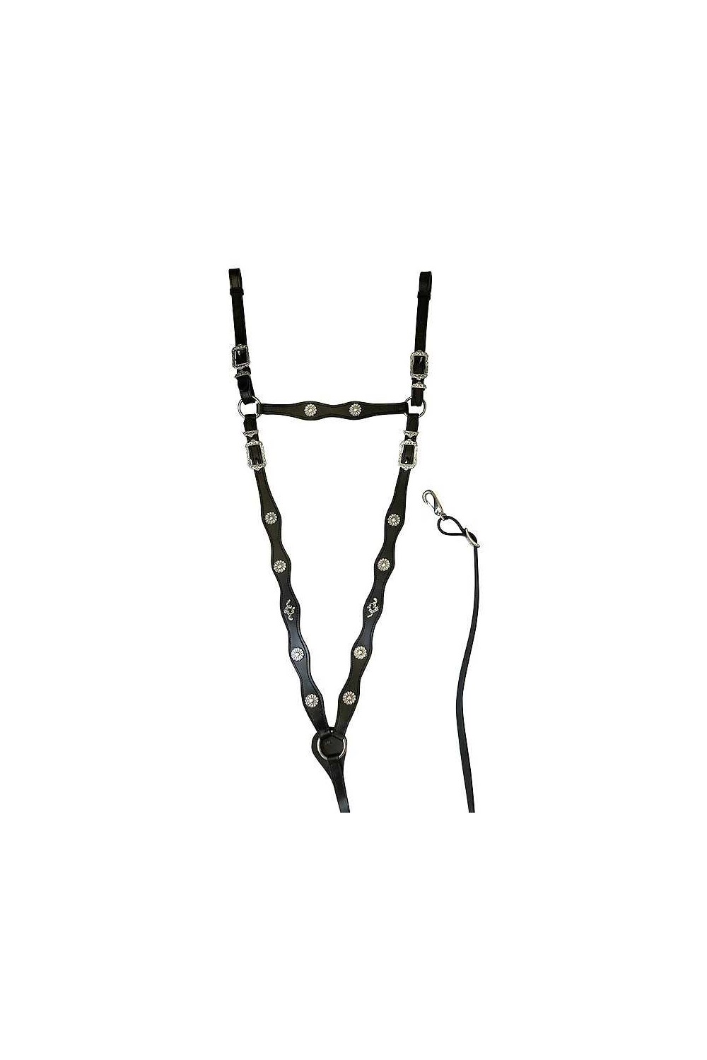 PECHOPETRAL DE CORTESÃA ECONÃ“MICO