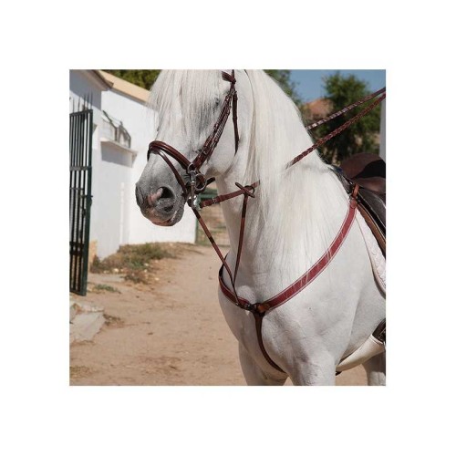 PECHOPETRAL DE Y ELÃSTICO BURDEOS CON TIJERILLA HEBILLA PAVONADA