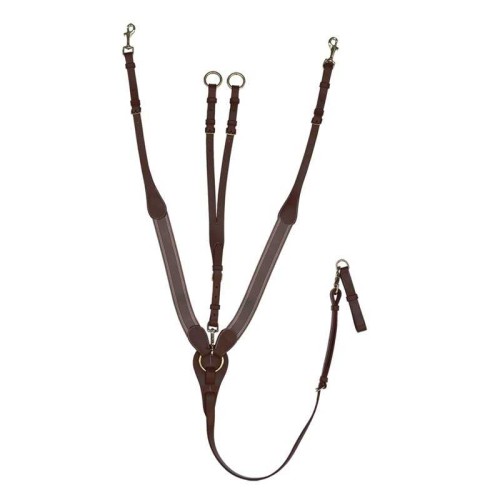 PECHOPETRAL DASLO CON FORMA DE Y HEBILLAS INOX