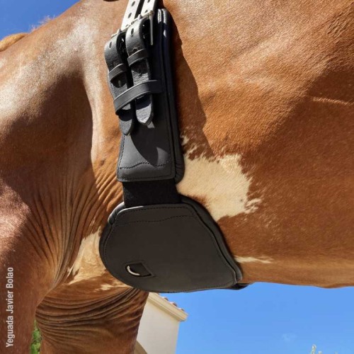 CINCHA DE DOMA CON ELÃSTICOS MODELO OMEGA LINE