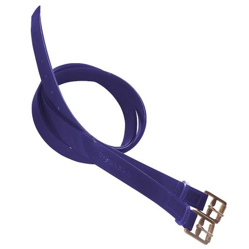 ACIONES DE BIOTANE PARA RAID MARJOMAN