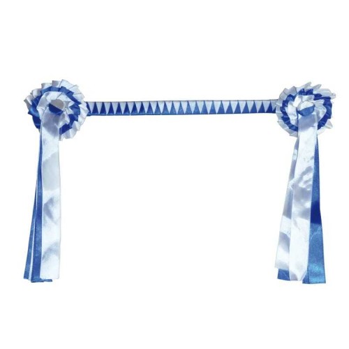 FRONTALERA DE PRESENTACIÃ“N ECONÃ“MICA CON CUCARDAS