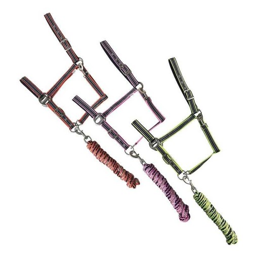 CABEZADA DE NYLON CON RAMAL COLORES NEÃ“N