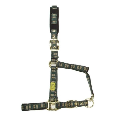 CABEZADA DE NYLON CON TARTÃN