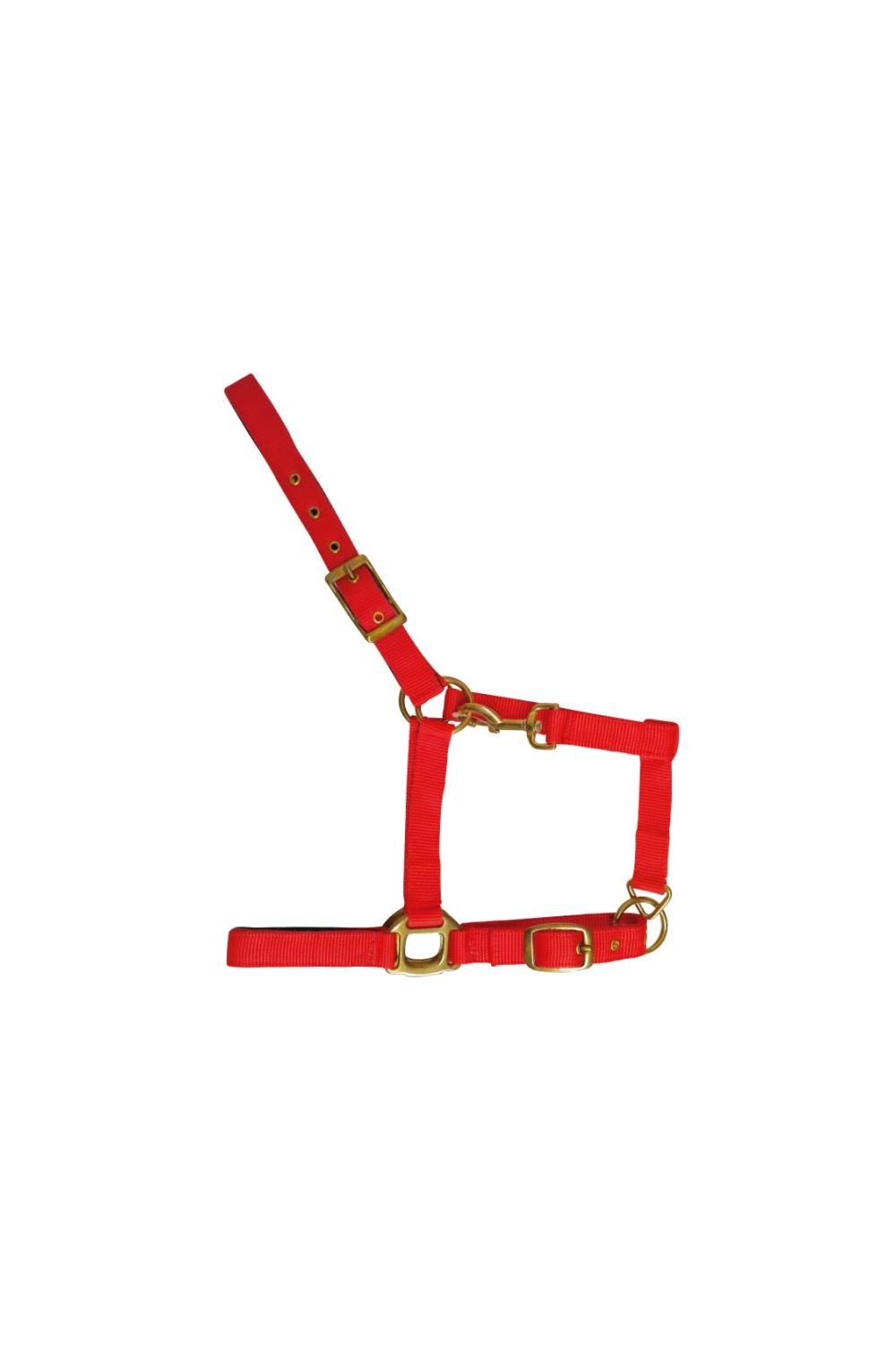 CABEZADA DE NYLON CON REFUERZO DE CUERO