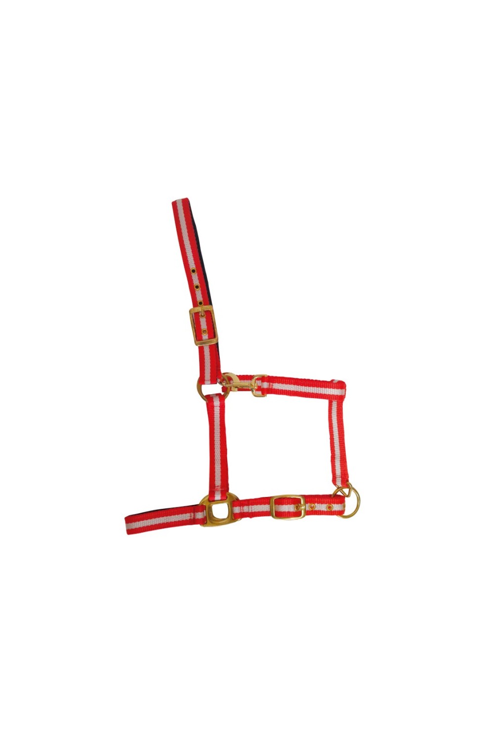 CABEZADA DE NYLON CON REFUERZO DE CUERO