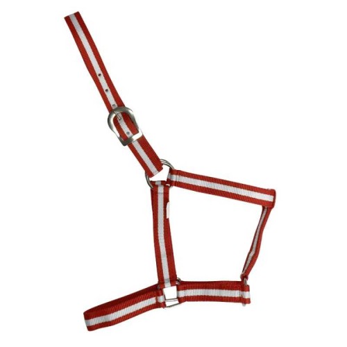 CABEZADA DE NYLON ECONÃ“MICA