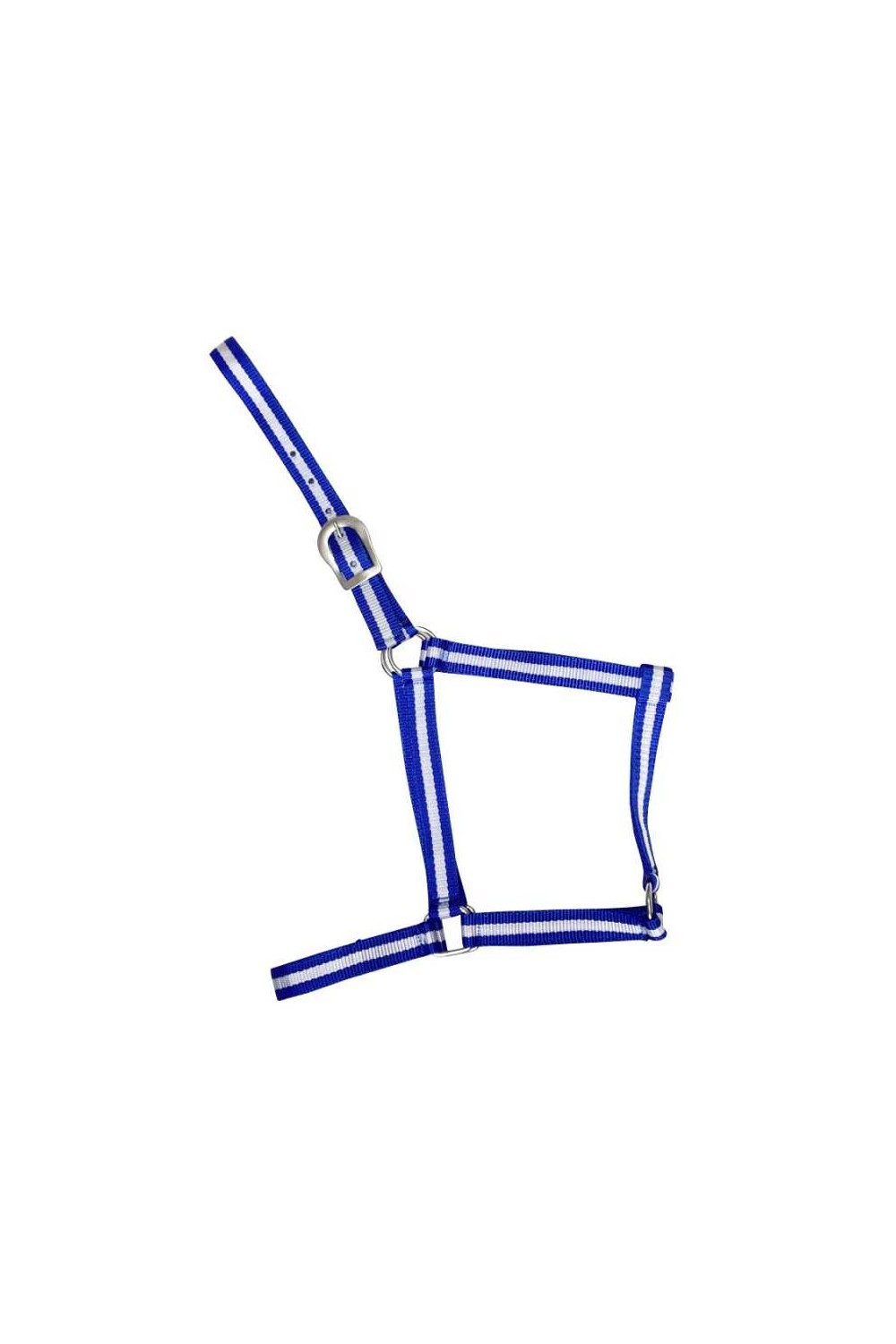 CABEZADA DE NYLON ECONÃ“MICA