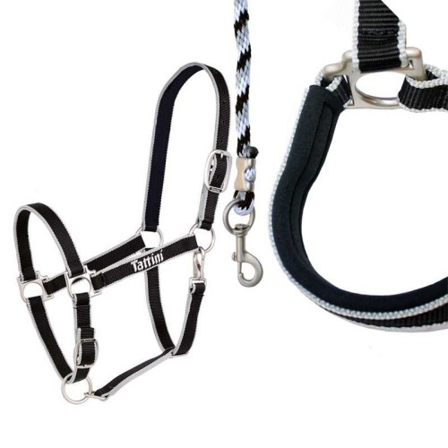 CABEZADA TATTINI CON ACOLCHADO