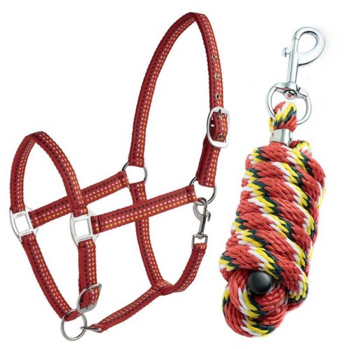 Conjunto de cabezada DaslÃ¶ + Ramal