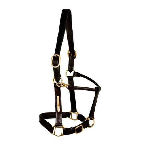 CABEZADA EN CUERO REFORZADA