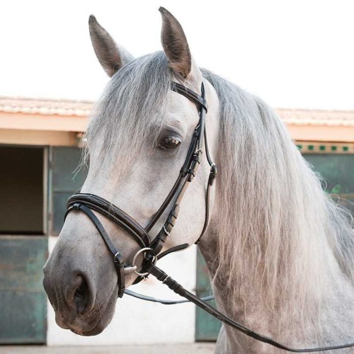 CABEZADA DE CUERO INGLÃ‰S CON RIENDAS DE GOMA