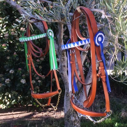 CABEZADA MARJOMAN DE PRESENTACION ESPECIAL CON CUCARDAS RAMAL CUERO LISO