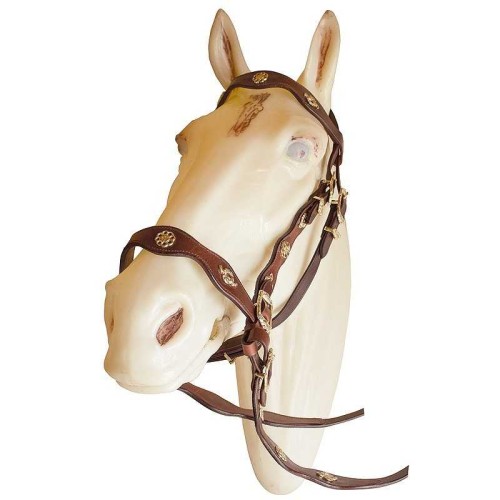 CABEZADA ECONÃ“MICA CORTESIA UNA RIENDA