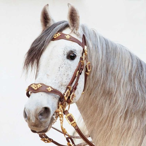 CABEZADA MARJOMAN MODELO PORTUGUÃ‰S DE CORTESÃA DOBLE RIENDA