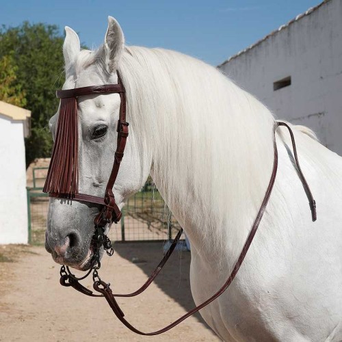 CABEZADA MARJOMAN ESPAÃ‘OLA ALOMADA PIÃ‘A CUERO CON RIENDAS
