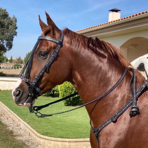 CONJUNTO CABEZADA Y PECHOPETRAL REPUJADOS MARJOMAN