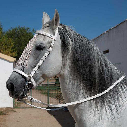 CABEZADA MARJOMAN ESPAÃ‘OLA CON RIENDAS