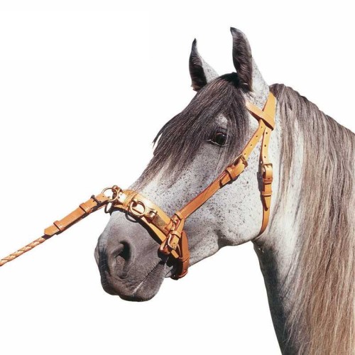 CABEZADA MARJOMAN DE DOMA CON SERRETA ARTICULADA